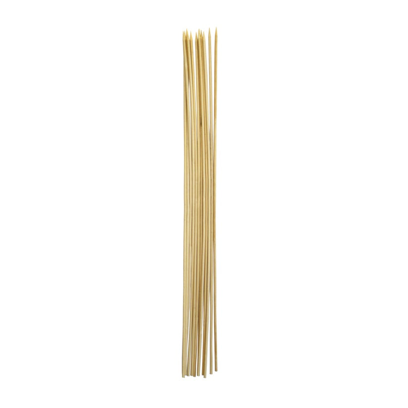 Roasting Sticks
